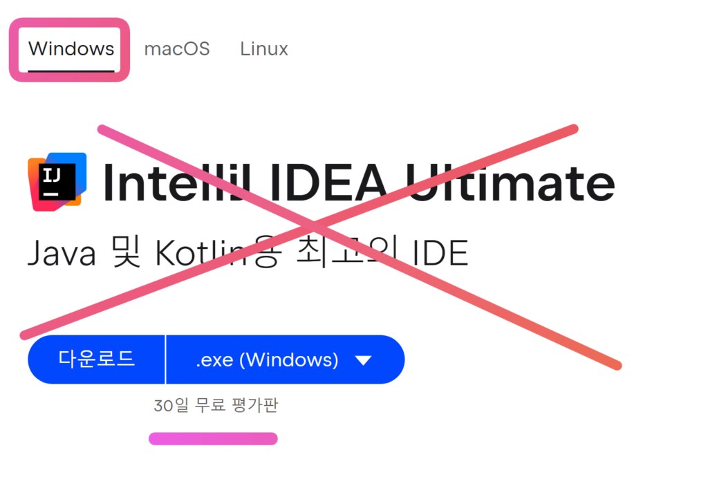 인텔리제이 유료 버전(ultimate) 다운로드 금지